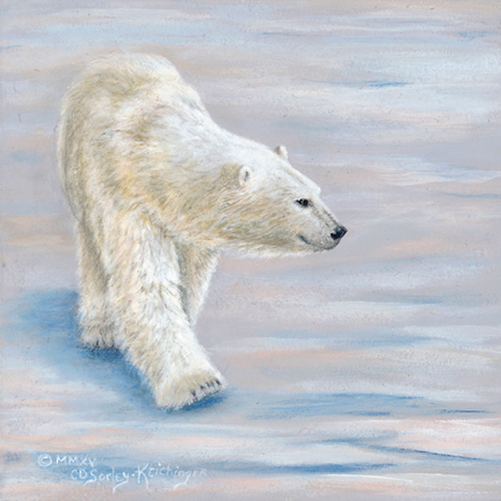 Polar Stroll