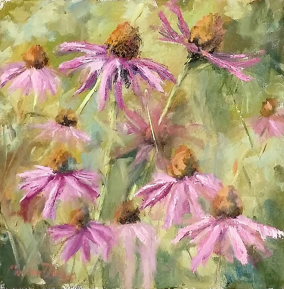 Cone Flowers