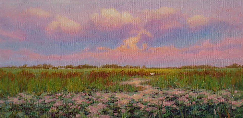 Evening Marsh in Pink