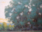 September Cottonwoods