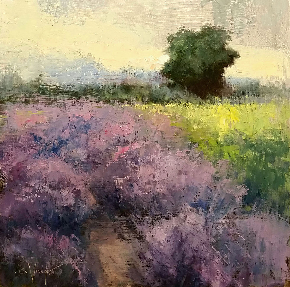 Lavander