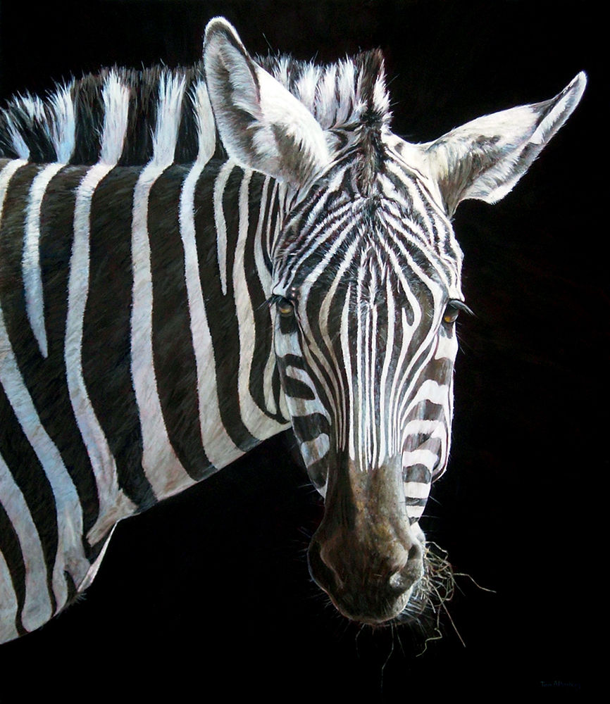 Grant's Zebra