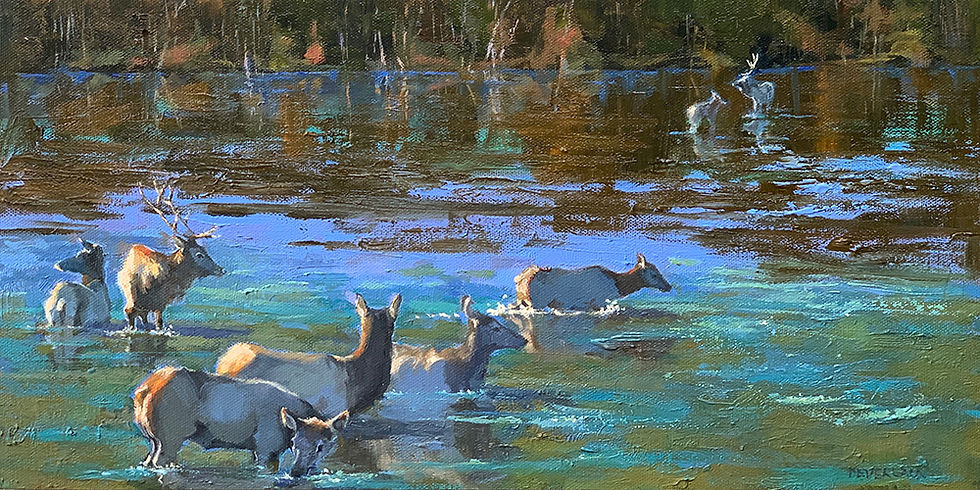 Morning Swim