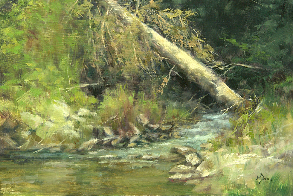 Hidden Creek