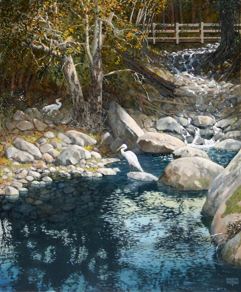 Egrets