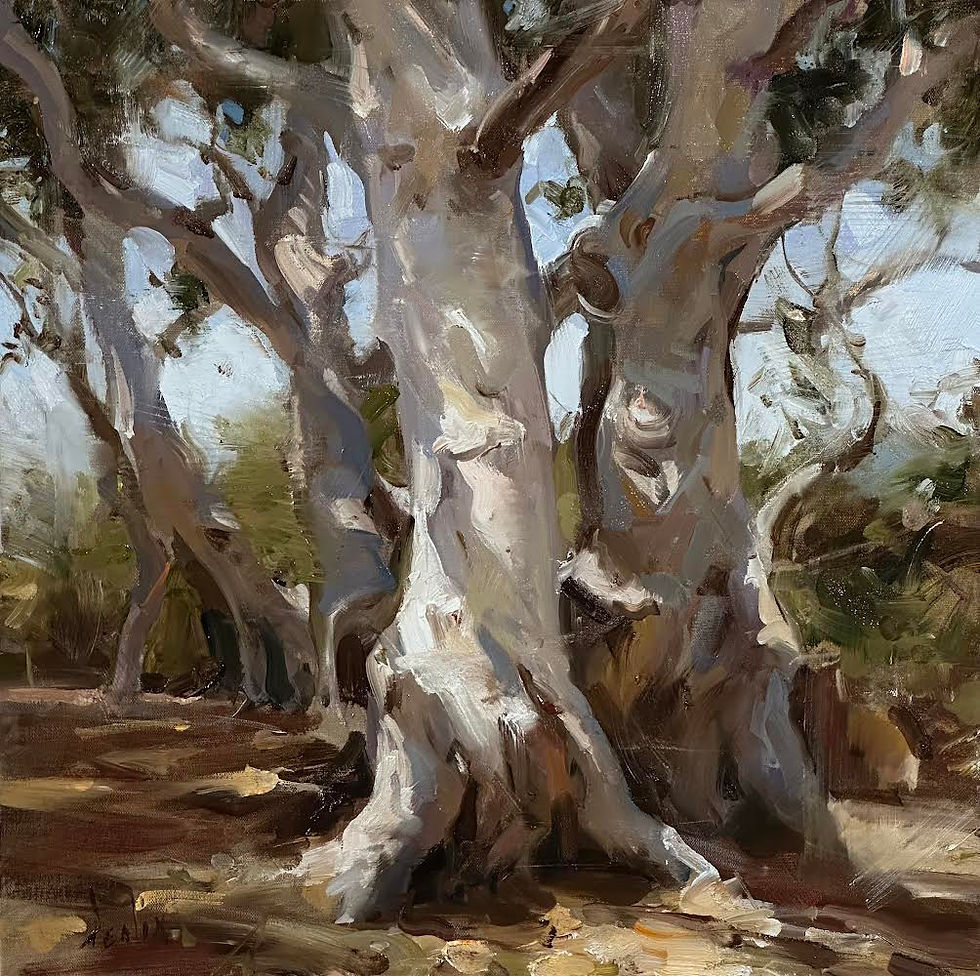 Conversing Amongst the Trees