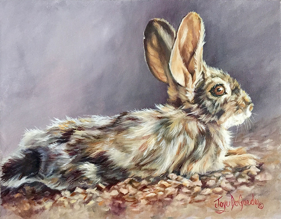 Bunny Flop