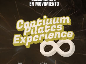 Como planifique y cuales fueron los resultados de la jornada CONTINUUM PILATES EXPERIENCE