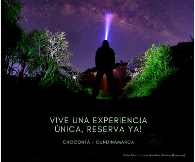 Copia de Green IG Templates 300 Pack (1).png