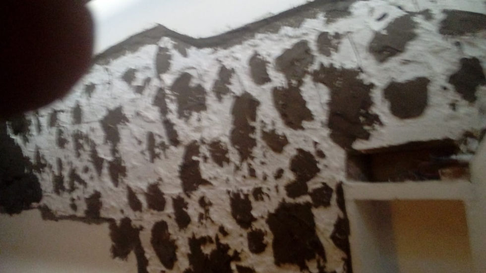 Trabajo de Interiores