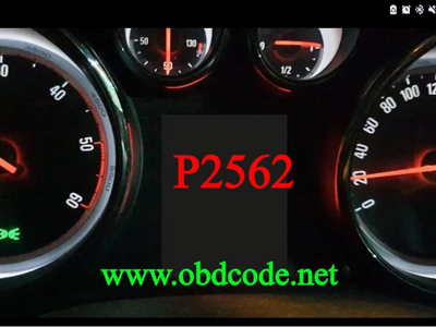 P2562 Arıza-Hata Kodu Turbo şarj Boost Kontrol Konum Sensör A Devre