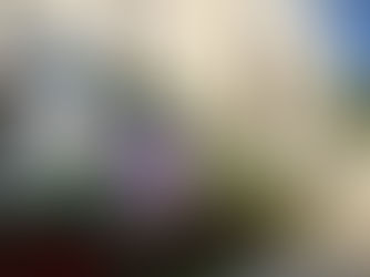 120 Years of Love in Action