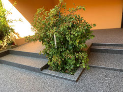 jardin design-resigne.ch