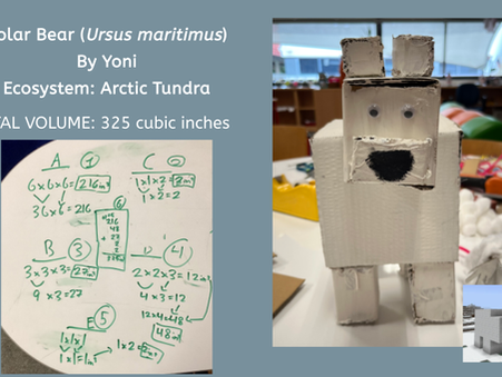 Minecraft Meets Cardboard: Building Ecosystems with STEAM