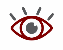 Visión