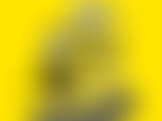 Bijna 11% meer vragen bij Steunpunt Taalwetwijzer over de taalwetgeving