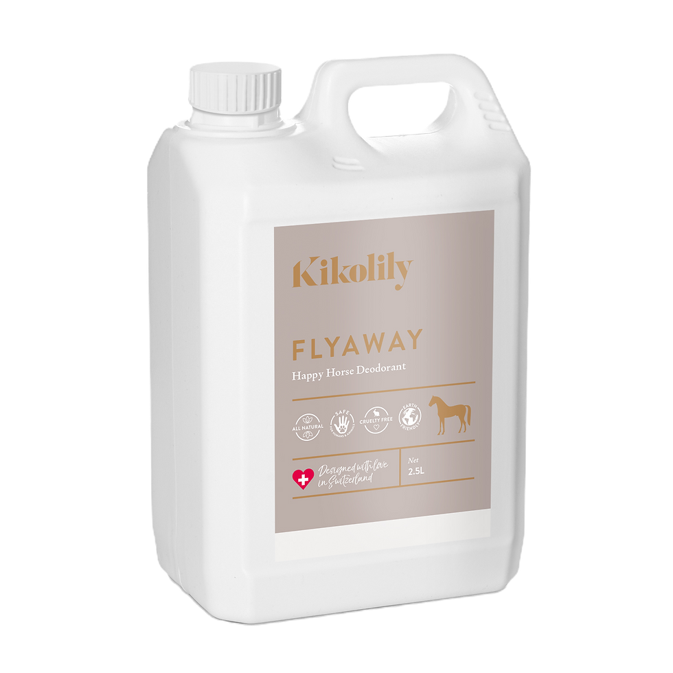 Miniaturbild: FlyAway