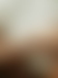 Behind the Meaning of "Ebony" 