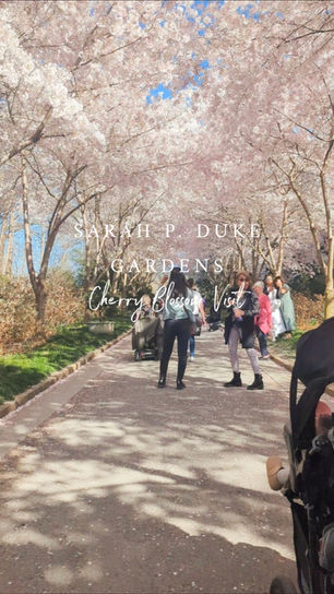 Embracing the Beauty of Everyday Moments: A Day at Sarah P. Duke Gardens