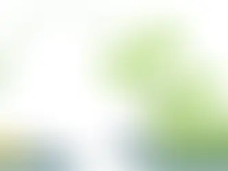 Wireless store counter with Western Union and MoneyGram signage for money transfer services