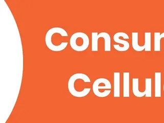 Consumer Cellular MVNO promotion wireless dealers budget customers