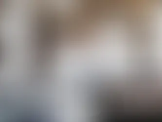  Dish Wireless forced spectrum sale tower space 2026 wireless dealers network coverage