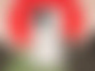 OnePlus 15 smartphone for wireless dealers