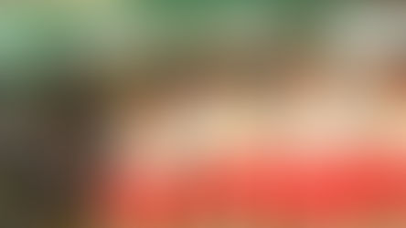 Fiesta/Festival Drum & Lyre Exhibition