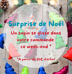 Offre sapin boutique en ligne.png