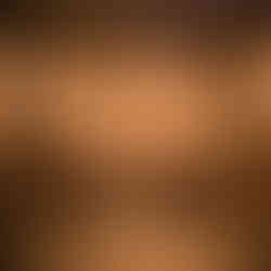 Chicago Illuminating Company Wedding