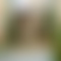 Flower girl and ringer bearers walking down aisle
