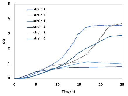Parallel OD detection with shakerOD