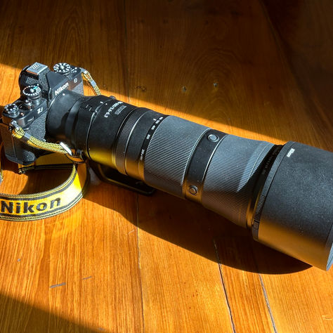 Nikkor Z 180-600 f5.6-6.3 Review