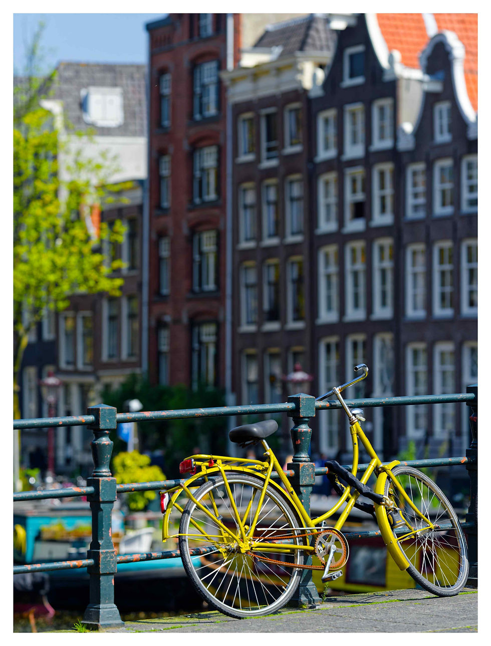 Essential Amsterdam ingredients | Nikon Df - Sigma 135mm F1.8