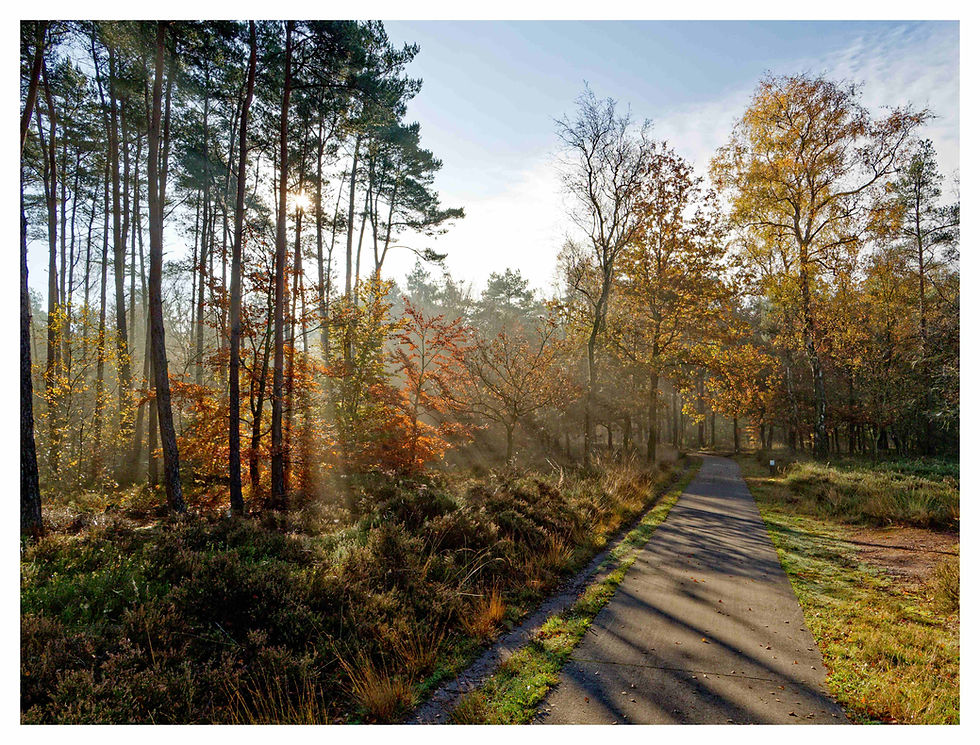 Rays of light (OM System OM-5, Leica 12-60mm F2.8-4)