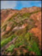 ree