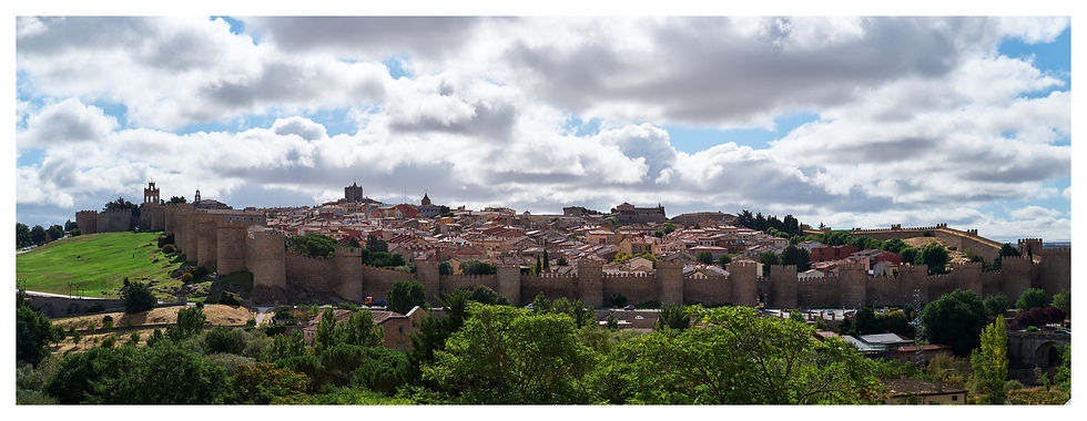 The walls of Avíla [Leica Q3 43]