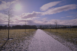 Winter walk