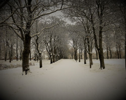 Snowy road
