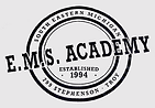 SEMEMSA logo.png