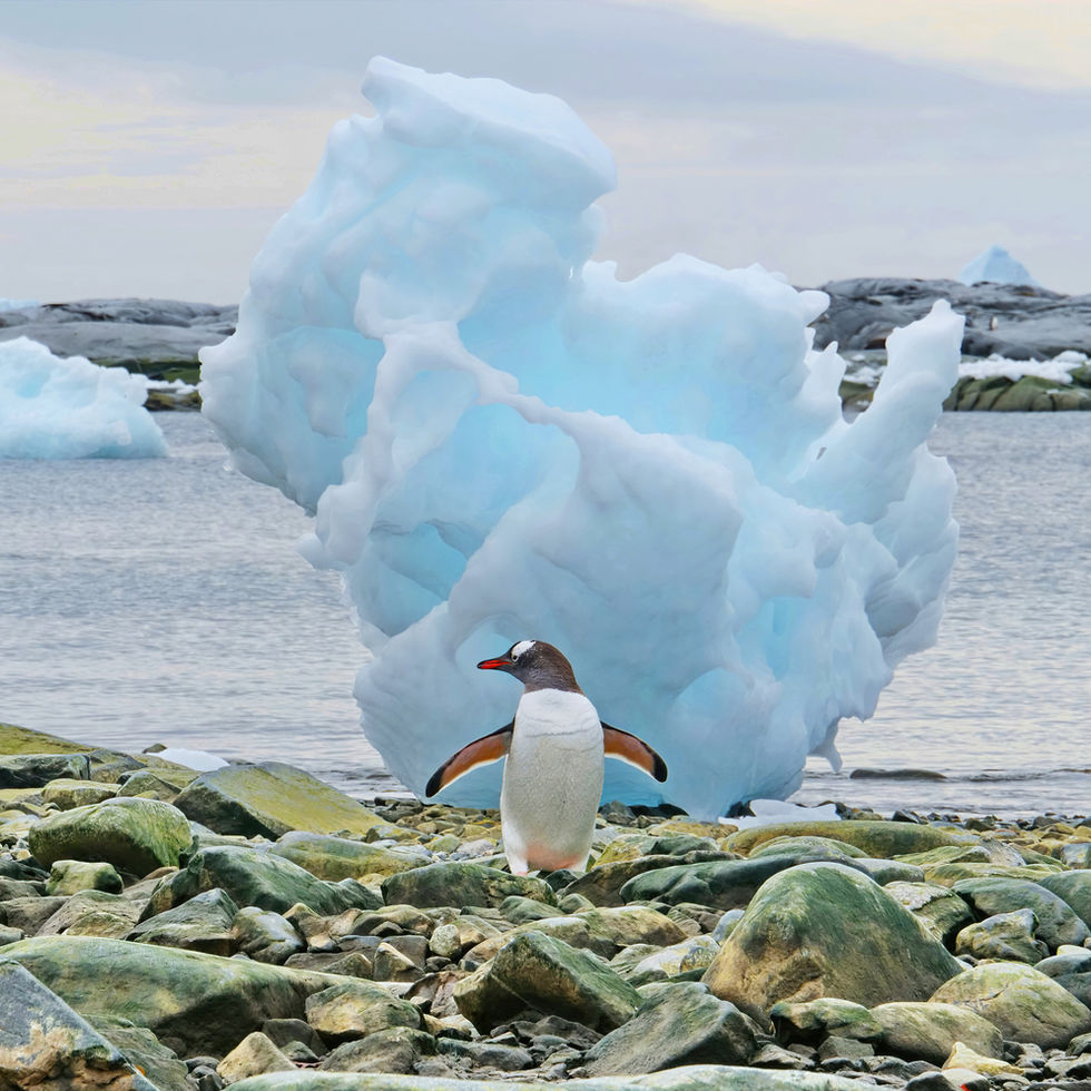 THE PENGUINS