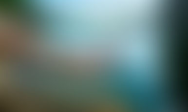 INCONGRUÊNCIAS NA DESESTATIZAÇÃO DA SABESP