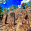 Miniatura: Maya