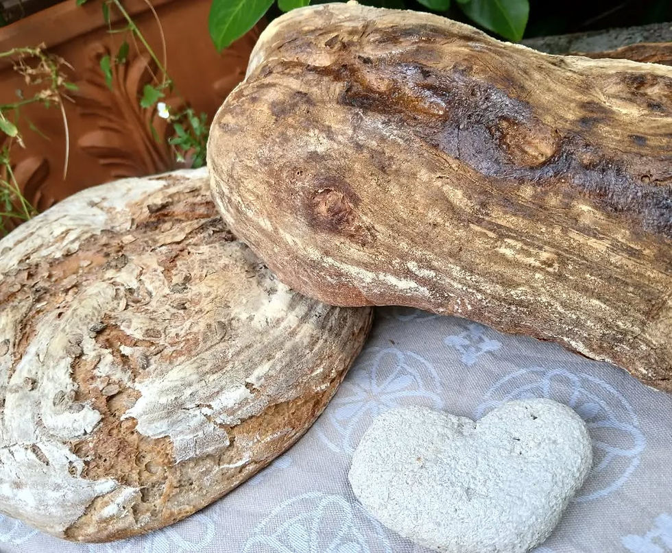 IN DER HOLZOFEN-BÄCKEREI gibt's so manche Leckerei