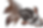 金魚(黒).png