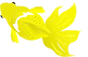 金魚(黄).png