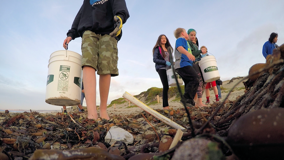 Straw trash, Monterey, CA