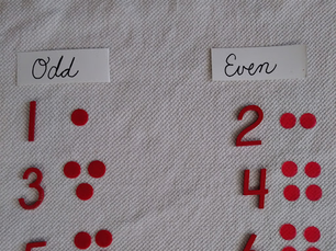 WAIT! Spoiler Alerts & The Joy of Self-Discovery