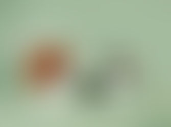 Réglementation cosmétique : Être conforme avec un consultant cosmétique