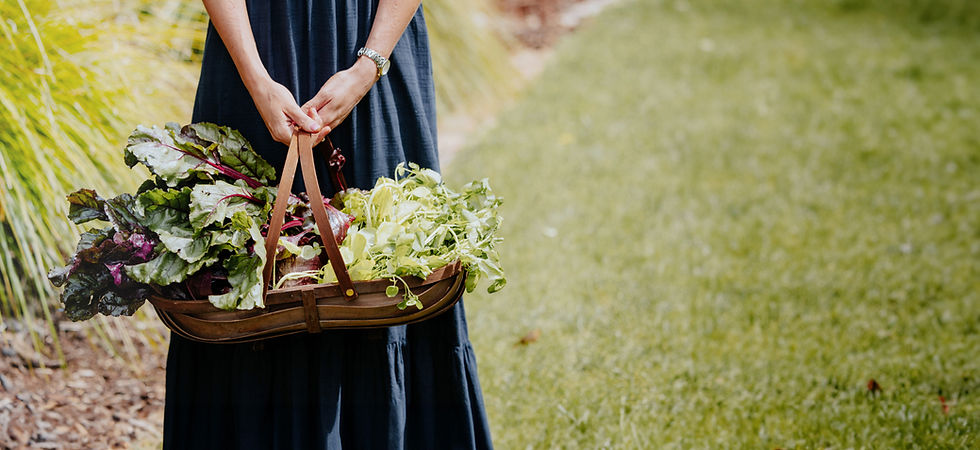 CourtneyVanDerScheer-9315_edit copy.jpg